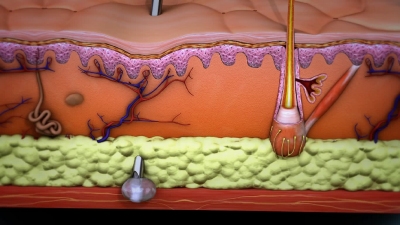 Dublin 18 Dental Rooms